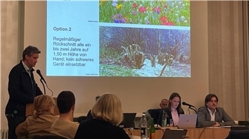 Umweltausschuss-Sitzung in Nordenham zur geplanten Rodung im Strandwald.