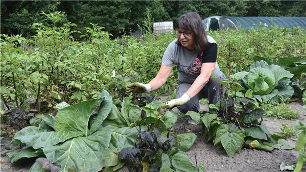 Das Foto zeigt Bettina Maudrich in ihrem Miet-Beet. 