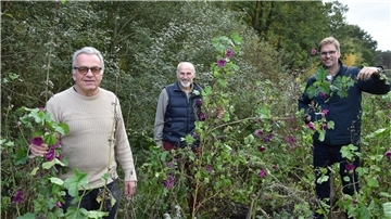 Das Foto zeigt drei Malstedter Landwirte in einem Blühstreifen. 