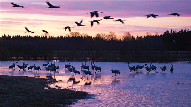Naturfotograf Carsten Linde hält Vortrag bei den Wilstedter Landfrauen