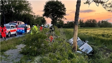 Unfall, gegen Baum, Altenbruch