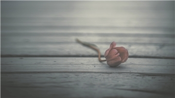 Das Leben mit dem Tod