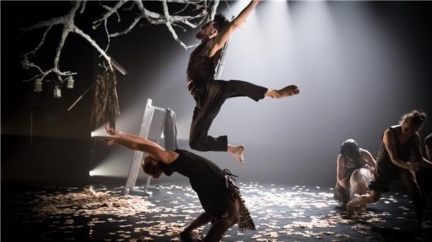 Bildgewaltiges Ballett zum Staunen