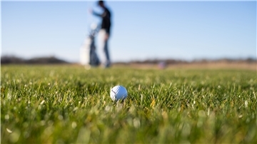 Golfball liegt auf einer Wiese.