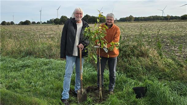 SPD Hagen pflanzt wieder einen „Demokratiebaum“ Zwei Männer stehen auf einem Acker an einem frisch gepflanzten Baum.