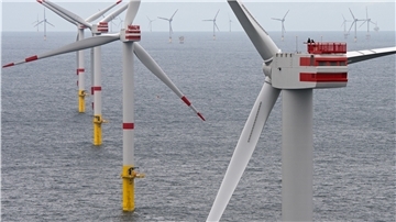 Windräder im Meer.