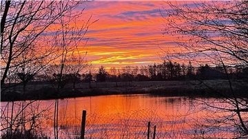 Wolken am Himmel und ein Teich werden von der aufgehenden Sonne in orangefarbenes Licht getaucht.