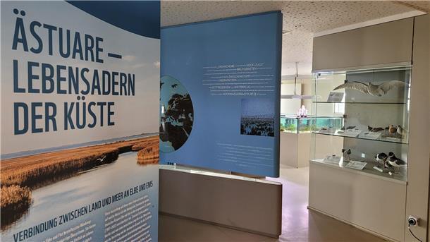 Ästuare im Fokus: Küstenvielfalt in Dorum-Neufeld Lebensraum Elbe und Ems: Sonderausstellung im Nationalpark-Haus Wurster Nordseeküste in Dorum-Neufeld.