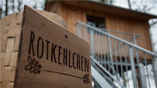 Zwischen den Bäumen träumen Zwischen den Bäumen träumen