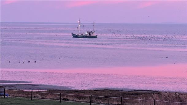 Idylle pur: So schön ist Butjadingen am frühen Morgen