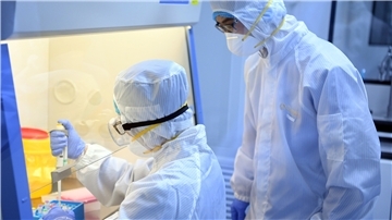 Eine Laborantin sortiert im Institut für Virologie an der Charite Berlin Mitte, in dem Untersuchungen zum Coronavirus laufen, Proben. 