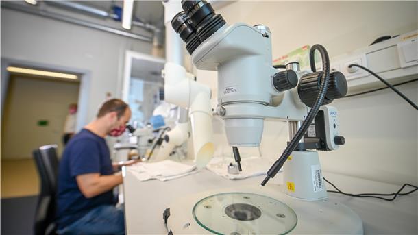 Biologe Matthias Schneider vom Thünen-Institut für Seefischerei muss wegen Corona-Schutzvorschriften allein statt mit Kollegen im Labor arbeiten.