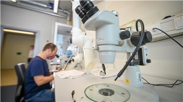Biologe Matthias Schneider vom Thünen-Institut für Seefischerei muss wegen Corona-Schutzvorschriften allein statt mit Kollegen im Labor arbeiten.