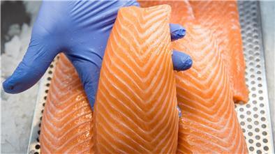 Bisher kennen die Verbraucher nur Filet vom Wildlachs oder aus der Aquakultur. Doch auch Lachszellen lassen sich kultivieren.