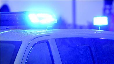 Blaulichter leuchten auf dem Dach eines Polizeifahrzeugs.