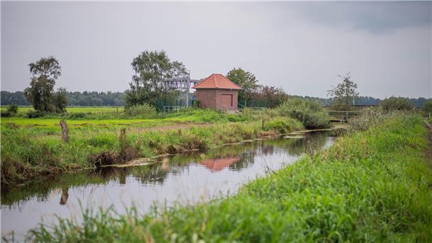 Blick auf die Rohr am Schöpfwerk des Apeler Sees bei Schiffdorf.