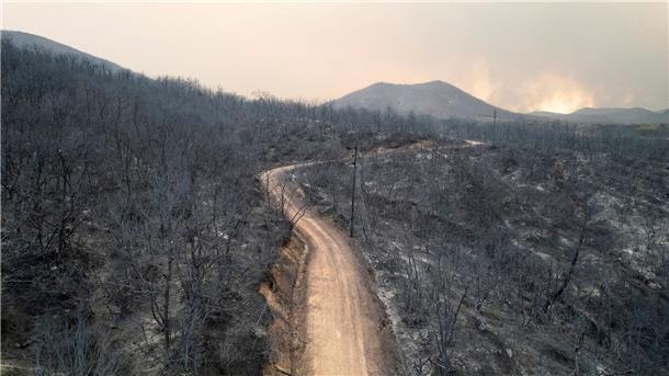 Brand nahe Athen unter Kontrolle - Lage weiter angespannt Blick auf einen verbrannten Wald in der Nähe der Stadt Alexandroupolis in der nordöstlichen Region Evros.