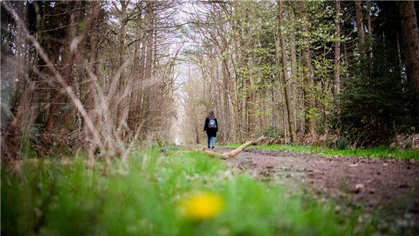 Blick in den Reinkenheider Forst im April 2023. 