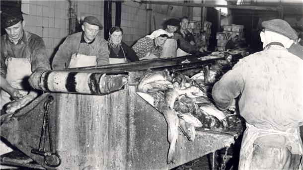 Eine Fischverarbeitung in den 1950er Jahren.