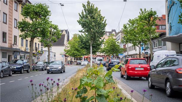 Klimaresilienz: Auswandererhaus soll grünes Dach erhalten Blick in die Rickmersstraße mit jungem Baumbestand und aufgefrischter Verkehrsführung. So sollen auch andere Schutzflächen an großen Straßen umgestaltet werden. Foto: Hartmann