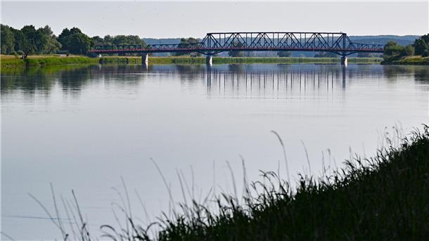 Umweltministerin: Zusammenarbeit mit Polen zur Oder ist zäh Blick von der polnischen Seite über den deutsch-polnischen Grenzfluss Oder im Nationalpark Unteres Odertal.