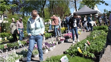 Der 20. Hagener Staudenmarkt lockte mit seinem zahlreichen Pflanzenangebot an den vielen Blumenständen die Besucher an. 