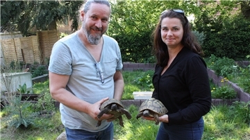 Boris Schmaldienst und Stefanie Rathjen halten jeweils eine Schildkröte in ihren Händen.