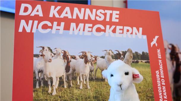 Brandenburg wirbt mit einer neuen Kampagne für Zuzüge aus Westdeutschland. (Archivbild)