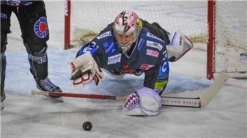 Brandon Maxwell verlässt die Fischtown Pinguins