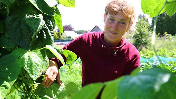 Britta Köster zwischen den Bohnen. Britta und Thomas Köster sind mit „Grünzeugs“ Bremerhavens Neuzugang im ökologischen Landbau.