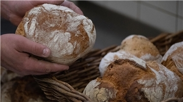 Eine Hand hält einen Laib Brot.