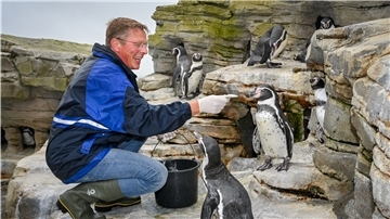 Bürgerschaftspräsident Frank Imhoff arbeitet im Zoo mit Bürgerschaftspräsident Frank Imhoff ist unterwegs, um all denen zu danken, die es ermöglicht haben, dass andere Ferien machen - im Zoo am Meer Bremerhaven hat er den Pinguinstall geschrubbt und die Tiere gefüttert. Imhoff hat während der vier Wochen auch im Freibad mit angepackt, sich als Stadtführer versucht, hat eine Jugendfreizeit besucht und stand bei der Hafenrundfahrt am Ruder.