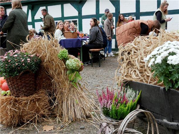 Bunt, laut und fröhlich - die Tarmstedter Erntewagenparade