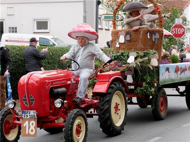 Bunt, laut und fröhlich - die Tarmstedter Erntewagenparade