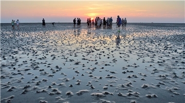 Menschen stehen bei Sonnenuntergang im Wattenmeer.