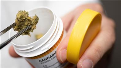 Cannabisblüten zur medizinischen Behandlung.
