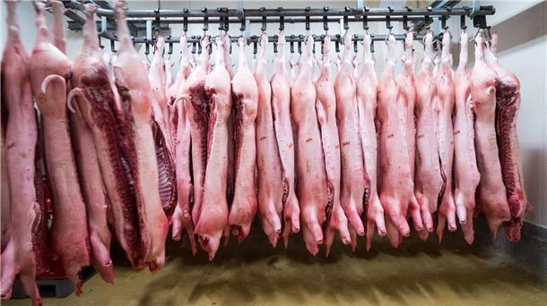China verhängt Zölle auf Schweinefleisch aus der EU China erschwert mit Zöllen den Import von Schweinefleisch aus der EU. (Symbolbild)