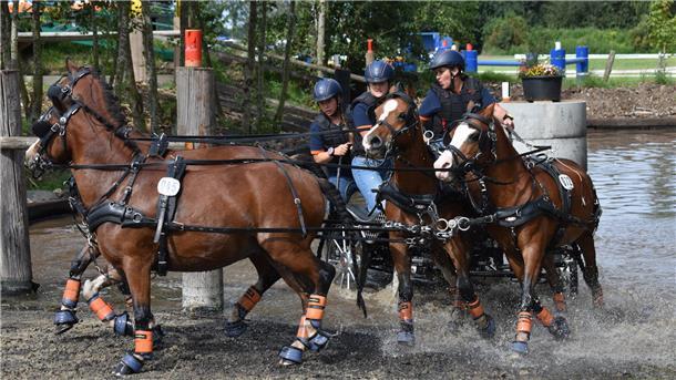 Pony-Gespann, Christina Klindworth, RV Zeven,