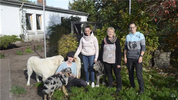 Christine Josten, Vorsitzende des Vereins Tiergnadenhof „Rasselbande“ (Zweite von rechts) und ihr Team haben alle Hände voll zu tun: Zurzeit gibt es 70 Katzen und 68 Hunde in Sandbostel. 