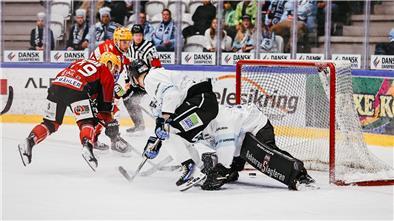 Colt Conrad (links) erzielte gegen Vojens das 2:0 für die Fischtown Pinguins.