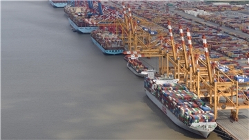 Luftaufnahme des Containerterminals in Bremerhaven mit mehreren Containerschiffen und gelben Verladekränen entlang der Kaje.
