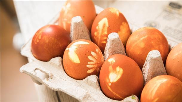 In einem Pappkarton liegen mit Naturmaterialien gefärbte Eier,