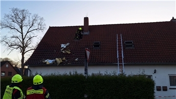Dämmung des Gebäudes wird entfernt.