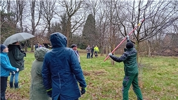 Damit ein Obstbaum nicht nur gut wächst, sondern auch Früchte trägt, muss er gelegentlich beschnitten werden. Beim NABU können Gartenfreunde lernen, worauf es dabei ankommt.