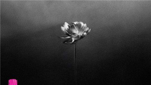 Wie Rapperin Little Simz mit „Lotus“ eine Krise überwindet Das Albumcover des neuen Albums „Lotus“ von Little Simz.