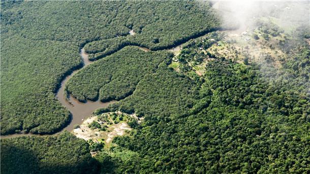Gefährlicher Kampf für die Umwelt: 177 Naturschützer getötet Das Amazonasgebiet um Manaus in Brasilien. Vor allem Aktivisten, die sich gegen die Agrarindustrie, Bergbau und Holzfällerei einsetzen, leben gefährlich.