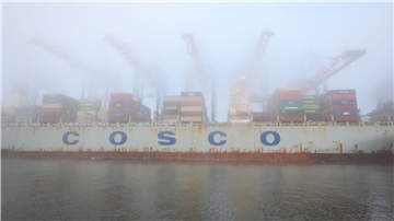 Das Containerschiff „Cosco Pride“ liegt im dichten Nebel am Containerterminal Tollerort im Hamburger Hafen.