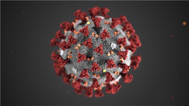 Das Coronavirus hat jetzt auch in Berne zugeschlagen.