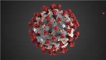 Das Coronavirus hat jetzt auch in Berne zugeschlagen.