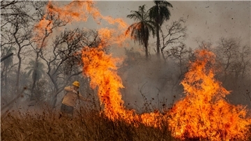 Das Feuer richtet Verwüstung in der gesamten Region an.